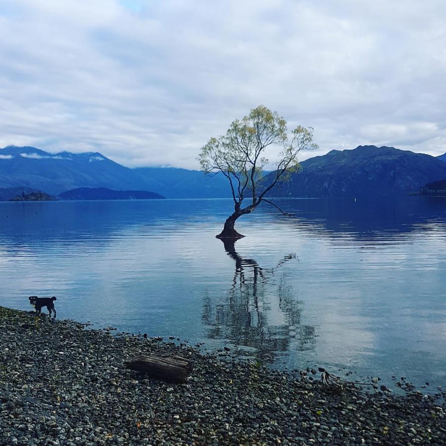 Alto On Hedditch Wanaka Extérieur photo